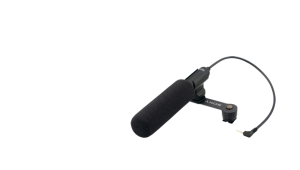 The Sony ECM-CG1